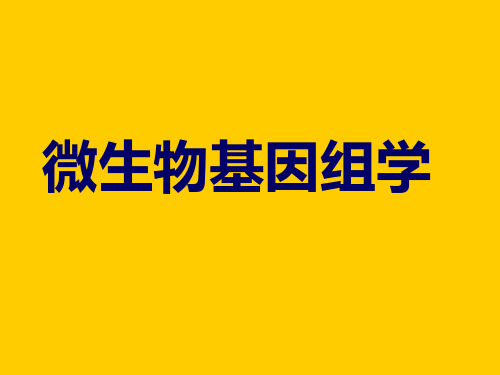 微生物基因组学