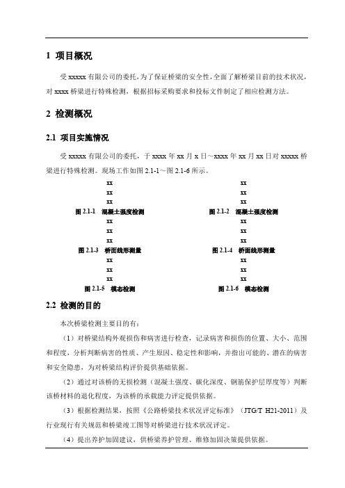 某桥梁特殊检测模板(外观、无损、自振、承载能力验算)