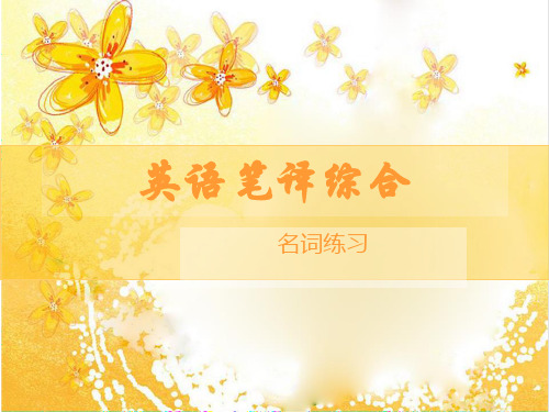 英语笔译综合-名词
