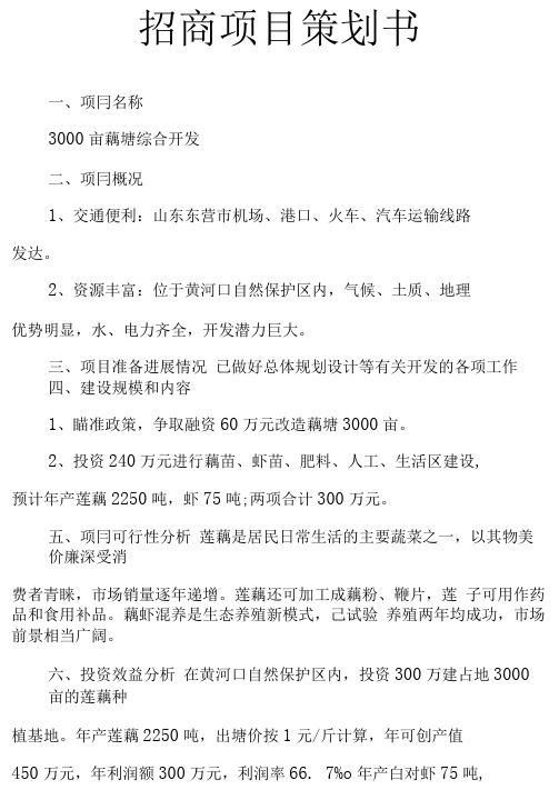 完整word版招商项目策划书