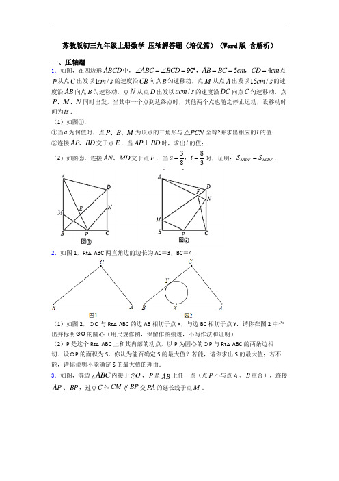 苏教版初三九年级上册数学 压轴解答题(培优篇)(Word版 含解析)