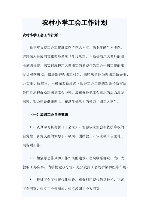 农村小学工会工作计划