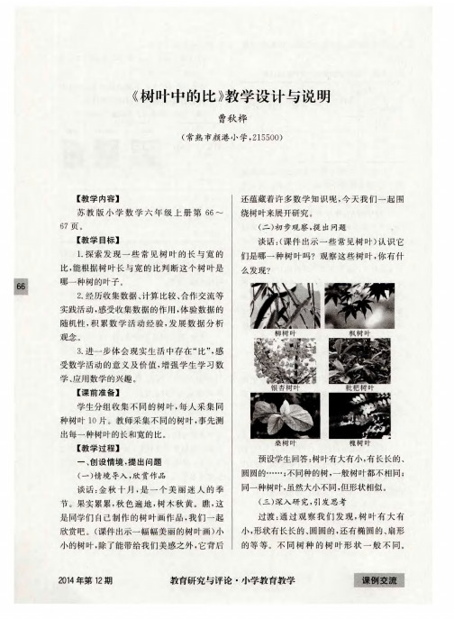《树叶中的比》教学设计与说明