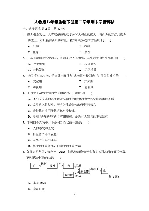 人教版八年级生物下册期末学情评估含答案