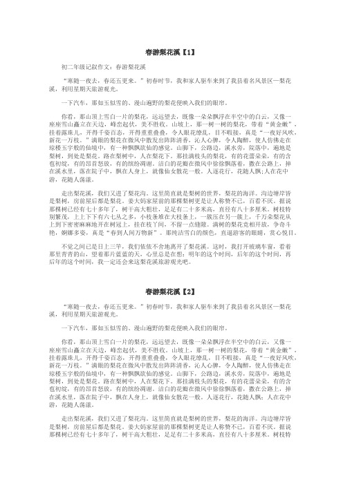春游梨花溪作文
