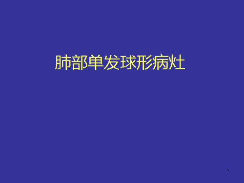 肺部疾病的CT鉴别诊断PPT课件