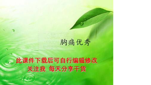 胸痛优秀PPT课件