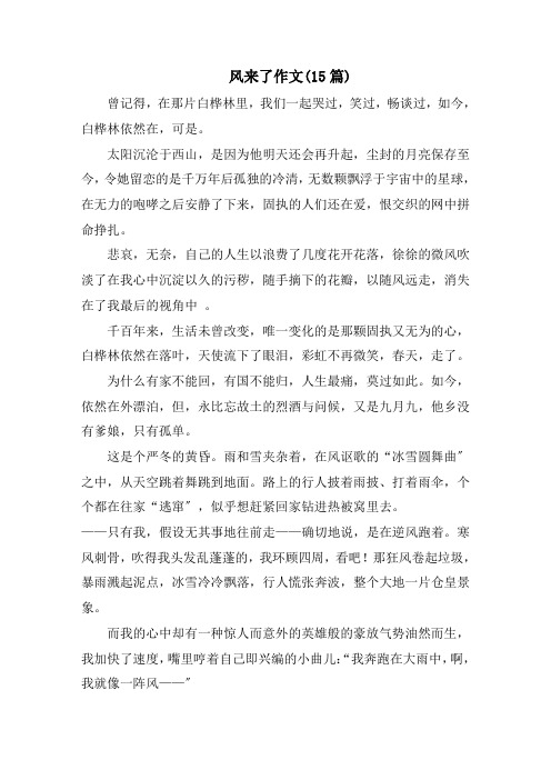 风来了作文(15篇)范文精选