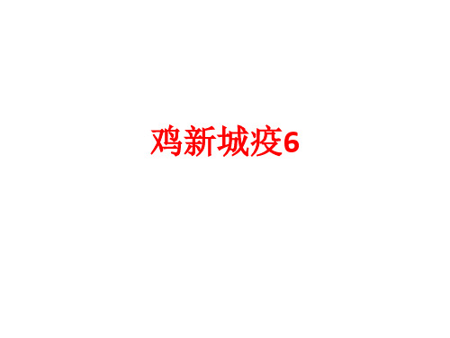 [课件]鸡新城疫6PPT