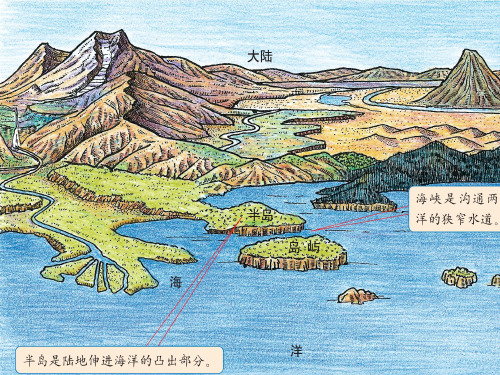 初中地理 大洲大洋 中考一轮复习