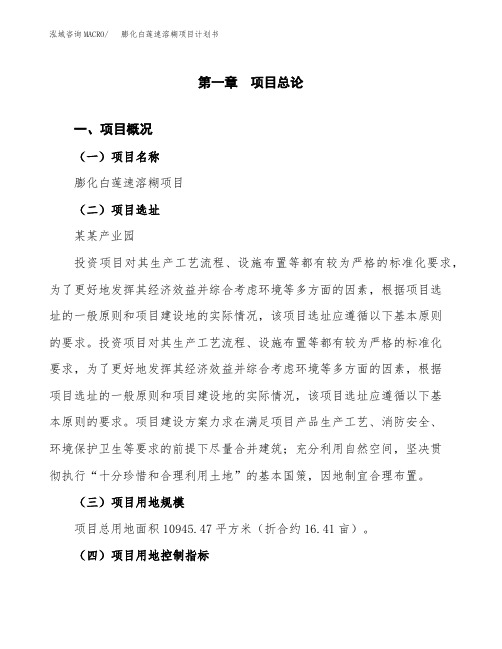 膨化白莲速溶糊项目计划书(项目投资分析)