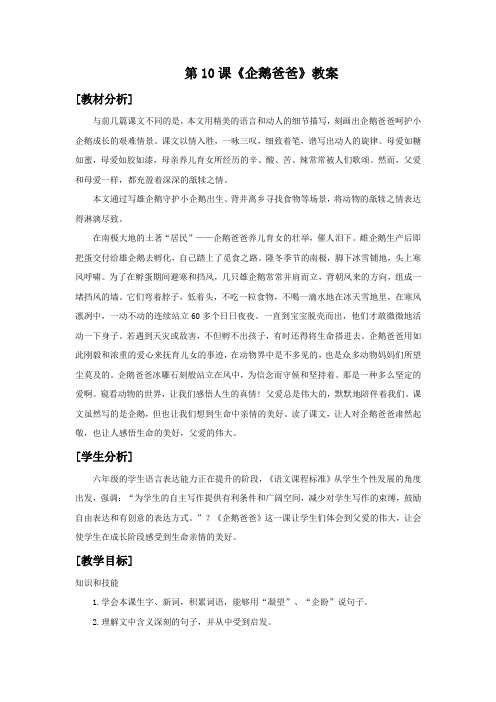 语文西师版六年级下册 《企鹅爸爸》教案