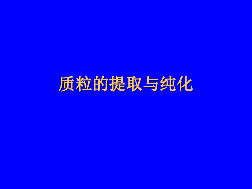 质粒的提取与纯化