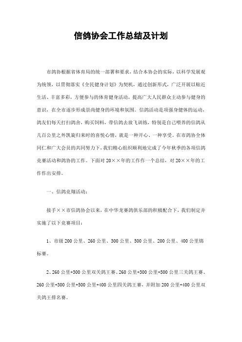 信鸽协会工作总结及计划
