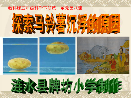 教科版五年级科学下册第一单元第八课探索马铃薯沉浮的原因