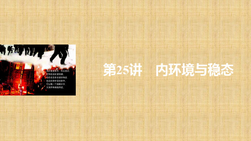 新高考生物一轮复习 第七单元 生命活动的调节与免疫 第25讲 内环境与稳态名师精编课件 浙科版