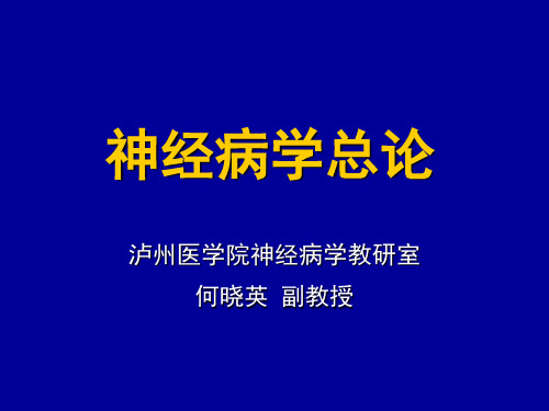 神经病学总论第一部