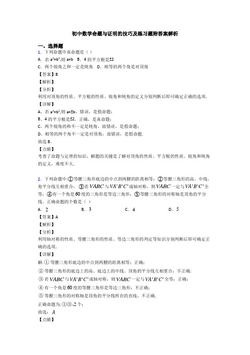 初中数学命题与证明的技巧及练习题附答案解析