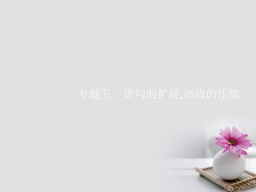 2018版高考语文总复习 专题五 语句的扩展语段的压缩教案 苏教版