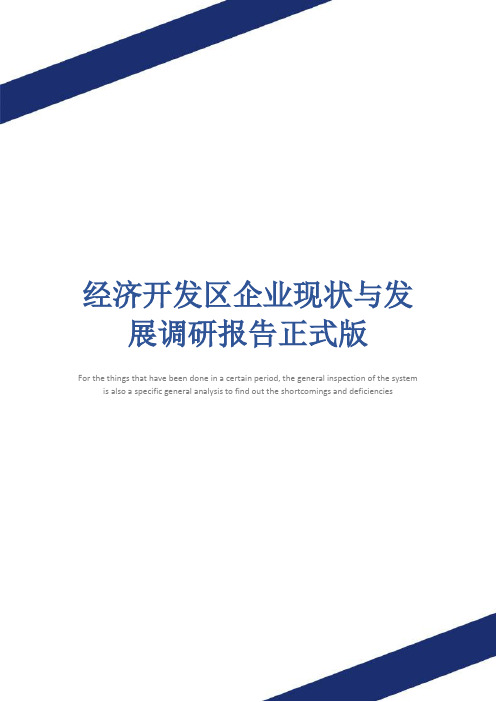经济开发区企业现状与发展调研报告正式版_1