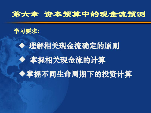 第六章 净现值法