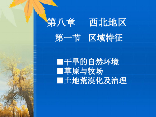 商务星球版西北地区区域特征 ppt课件