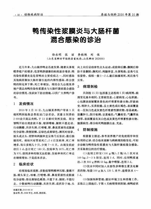 鸭传染性浆膜炎与大肠杆菌混合感染的诊治