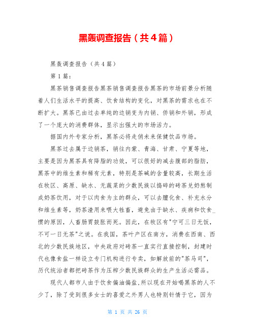 黑轰调查报告(共4篇)