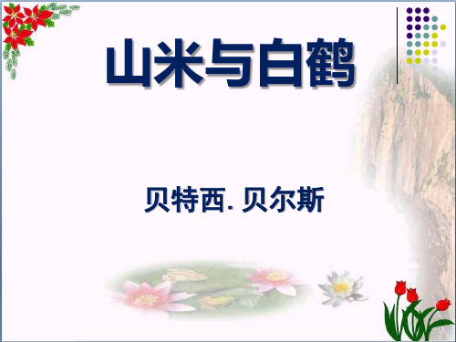 《山米与白鹤》精品 课件 