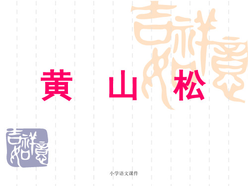 北师大版语文六年级上册第8单元《黄山松 》课件1