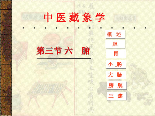 第二章 藏象6 六腑