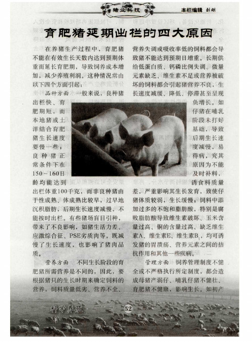 育肥猪延期出栏的四大原因