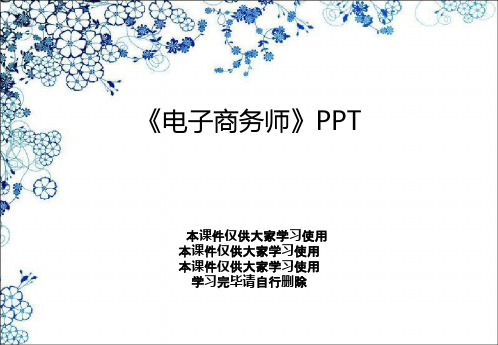 《电子商务师》PPT