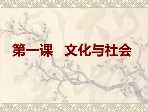 人教版高中政治必修三：第一课__文化与社会__(共36张PPT)