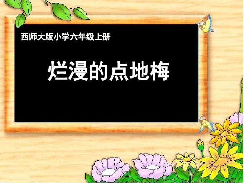 六年级上册语文课件-3.9 烂漫的点地梅｜西师大版 (共12张PPT)