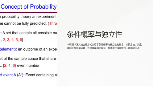 《条件概率与独立性》课件