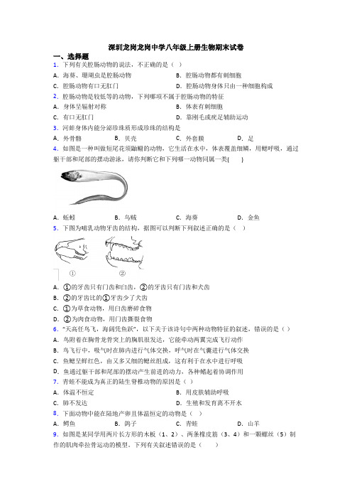 深圳龙岗龙岗中学八年级上册生物期末试卷