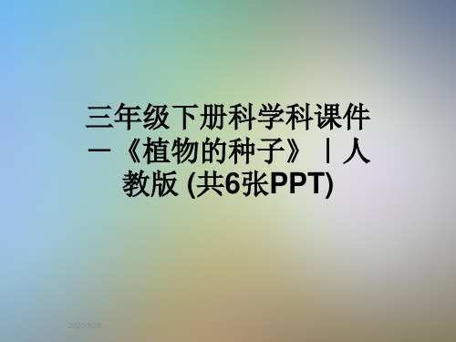 三年级下册科学科课件-《植物的种子》｜人教版 (共6张PPT)