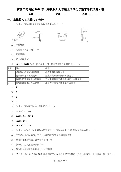 株洲市荷塘区2020年(春秋版)九年级上学期化学期末考试试卷A卷