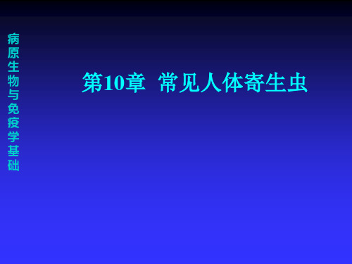 人体常见寄生虫