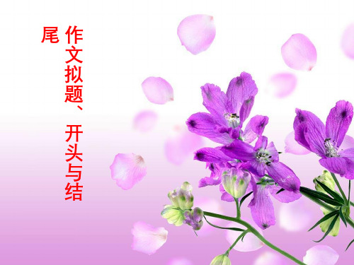 初中作文指导PPT课件——作文拟题、开头与结尾