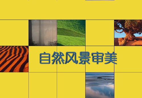 自然风景审美