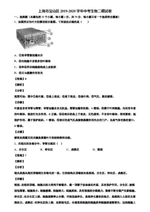 上海市宝山区2019-2020学年中考生物二模试卷含解析