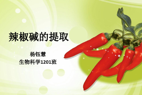 辣椒碱的提取