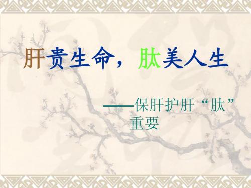 玉米肽讲义