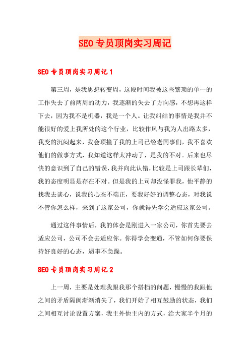 SEO专员顶岗实习周记