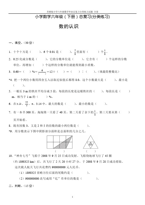 苏教版小学六年级数学毕业总复习分类练习试题 全套