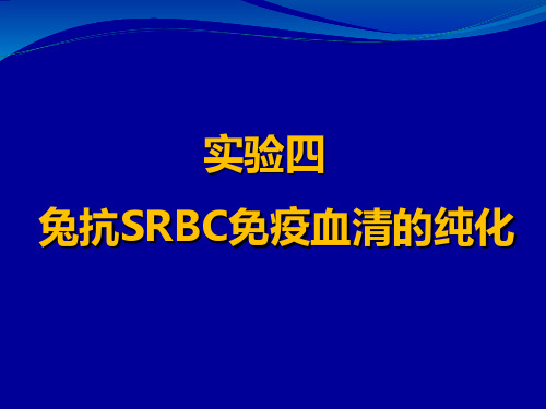 实验四兔抗SRBC免疫血清的纯化PPT参考课件