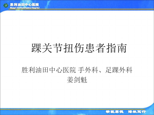 踝关节扭伤的患者的指南PPT课件