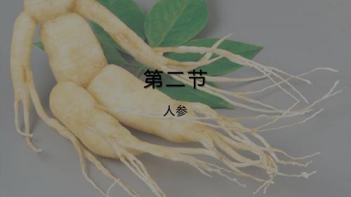 人参
